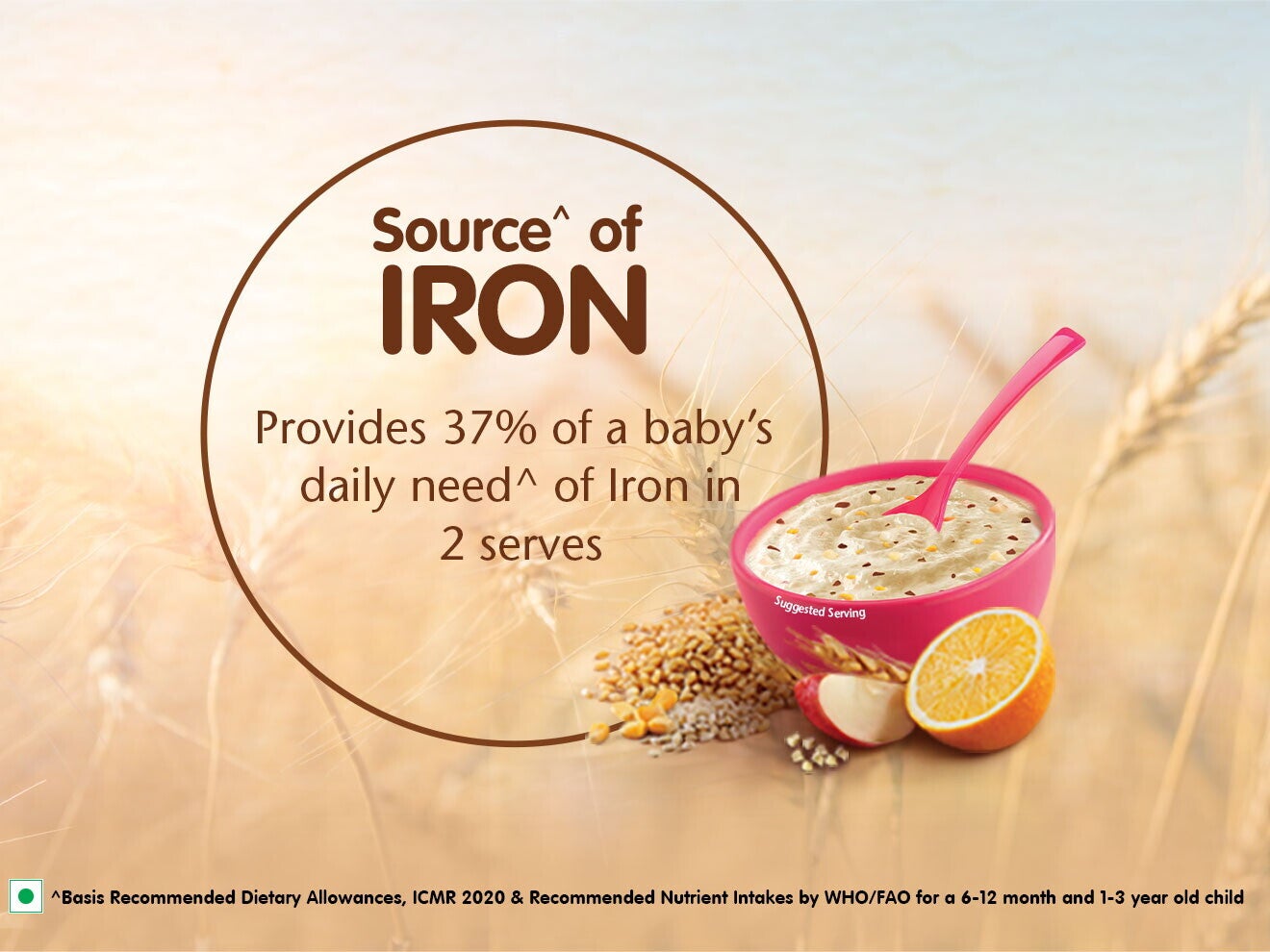 multigrain_and_fruits_source_of_iron_final_creative