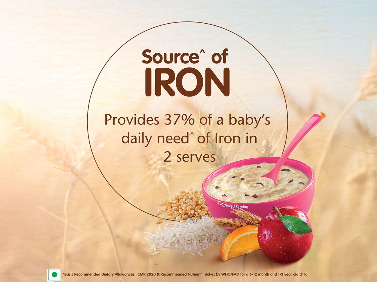 wheat-rice-mixed-fruit-source_of_iron-1320x990