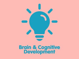 brain_and_cognitive_development