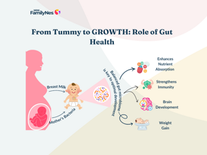 Header_From Tummy to GROWTH