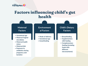 Factors Influencing Child Gut Health Factors Influencing Child Gut Health