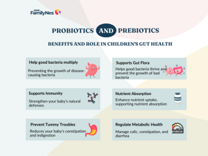 header_image_gut_health_1160_x_870_px_1