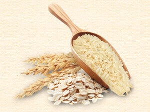 multigrains_300x225