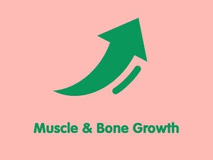muscle_and_bone_growth_v2