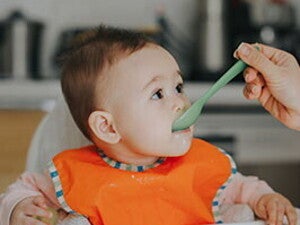nutrition-and-feeding-266x266.jpg