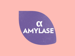 Alpha amylase enzyme