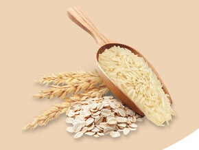 Multigrains like Wheat, Rice, and Oats
