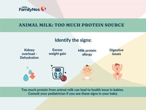 Protein too much of a good thing-1160x870 1
