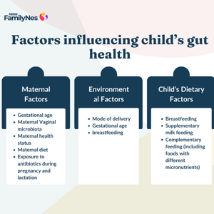 factors_influencing_child_s_gut_health factors_influencing_child_s_gut_health