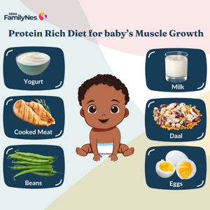 Header_Muscles development Header_Muscles development