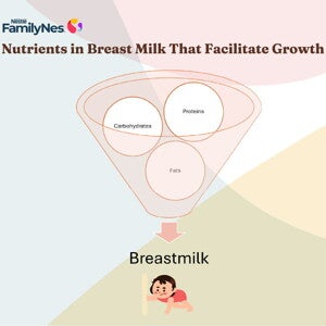How to support your babys growth-1160x870 1 How to support your babys growth-1160x870 1