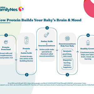 how protein supports baby brain development