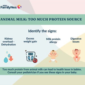 Protein too much of a good thing-1160x870 1 Protein too much of a good thing-1160x870 1