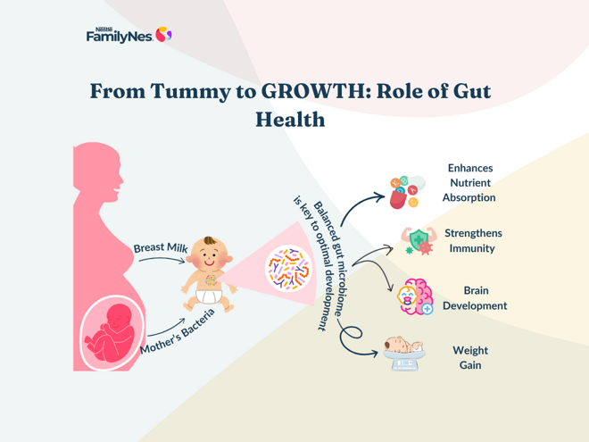 header_from_tummy_to_growth header_from_tummy_to_growth