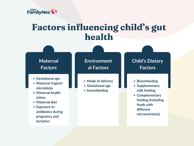 factors_influencing_child_s_gut_health factors_influencing_child_s_gut_health