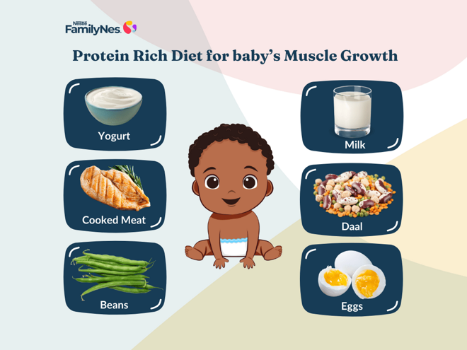 Header_Muscles development Header_Muscles development