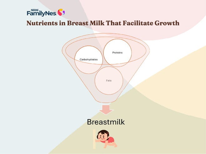 How to support your babys growth-1160x870 1 How to support your babys growth-1160x870 1