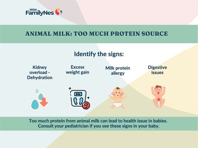 Protein too much of a good thing-1160x870 1 Protein too much of a good thing-1160x870 1