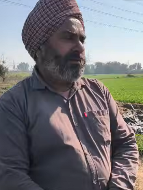 A Farmer’s Story: Healthier Crops with Biochar
