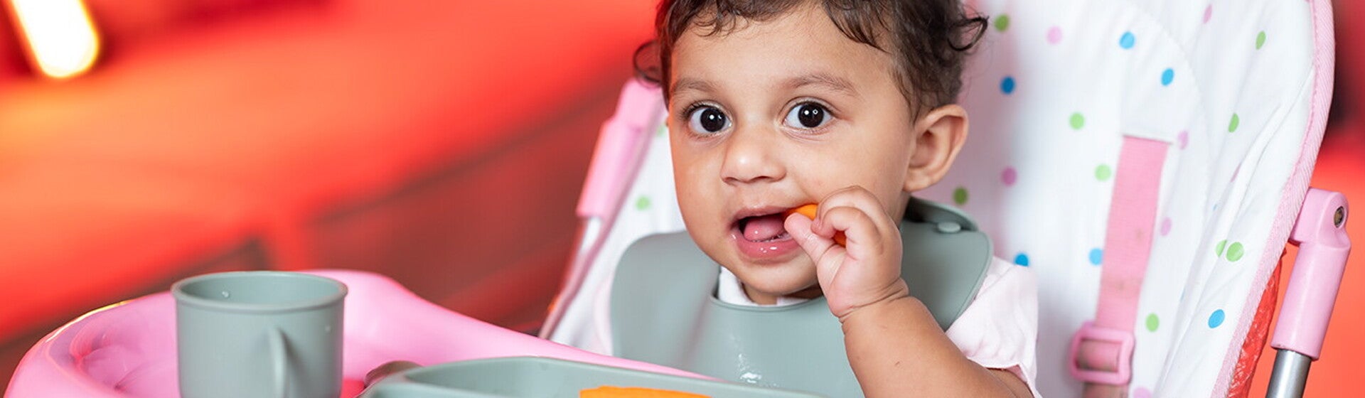 nutrition-and-feeding-1280x960