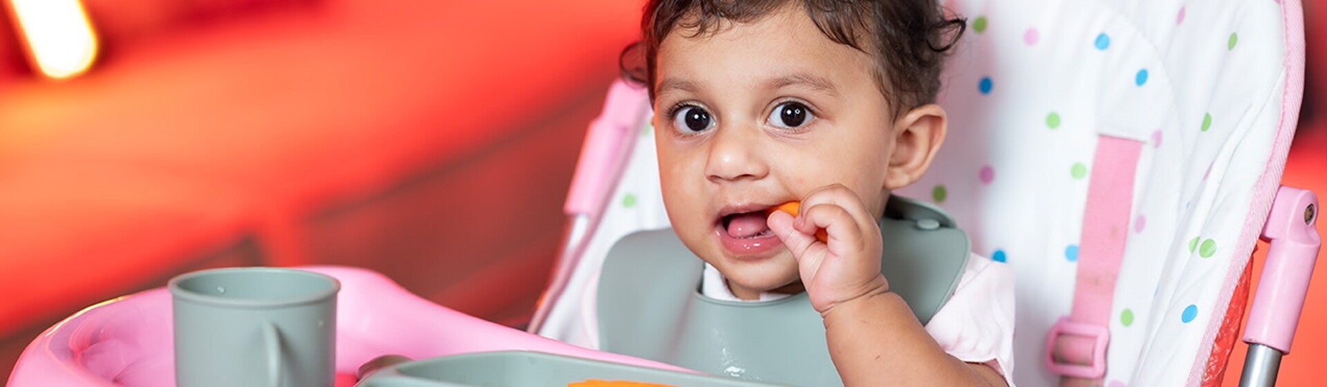 Nutrition And Feeding
