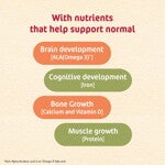 Cerelac-Wheat-Rice-Mixed-Fruit-kv-No-Refined-Sugar